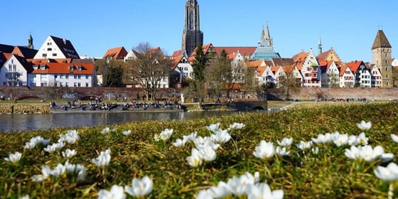 Die Stadt Neu-Ulm im Frühling